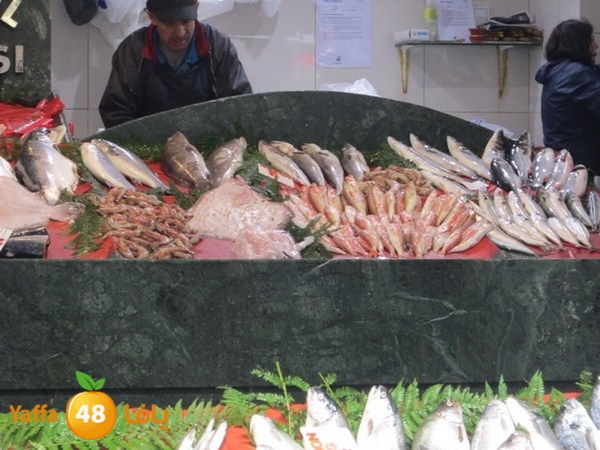 istanbul42500 (208).JPG